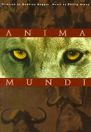 Anima Mundi (1991)