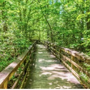 Congaree National Park