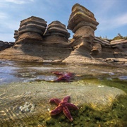 Mingan Archipelago National Park (QC)