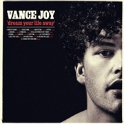 Fire and the Flood - Vance Joy