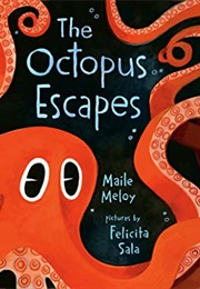 The Octopus Escapes (Maile Meloy)