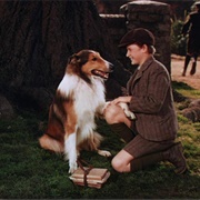 Lassie (Lassie Come Home, 1943)