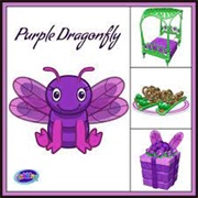 Purple Dragonfly