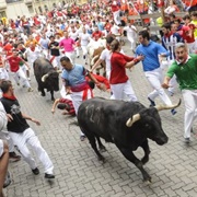 Run With the Bulls