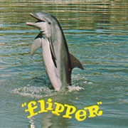 Flipper (&quot;Flipper&quot;)