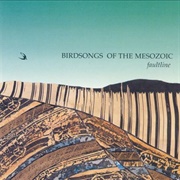 Birdsongs of the Mesozoic - Faultline