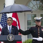 Umbrella-Gate