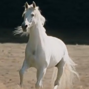 Shadowfax