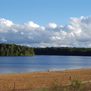 Swam in a Lake