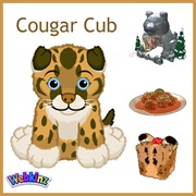 Cougar Cub