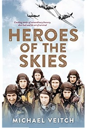 Heroes of the Sky (Michael Veitch)