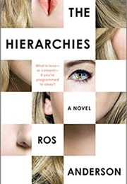 The Hierarchies (Ros Anderson)