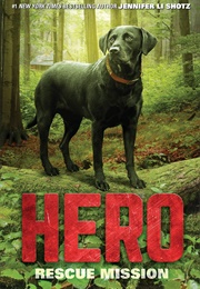 Hero (Jennifer Li Shotz)