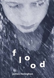 Flood (James Heneghan)