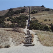 Culver City Stairs