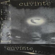 Celelalte Cuvinte - Ispita