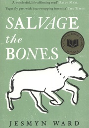 Salvage the Bones (Jesmyn Ward)