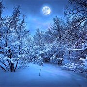 Winter Night