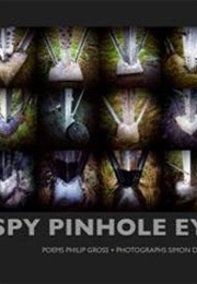 I Spy Pinhole Eye (Philip Gross)