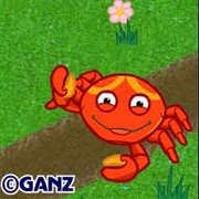 Cancer Crab