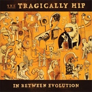 The Tragically Hip - In Between Evolution