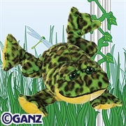 Lil Kinz Bullfrog