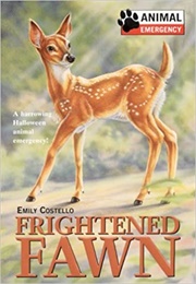 Frightened Fawn (Emily Costello)