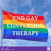 Gay Conversion Therapy