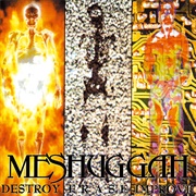 Destroy Erase Improve (Meshuggah, 1995)