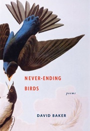 Never-Ending Birds (David Baker)