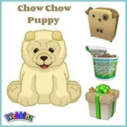 Chow Chow Puppy