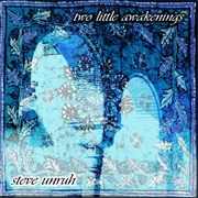 Steve Unruh - Two Little Awakenings