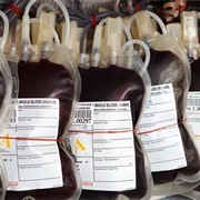 Blood Bank