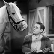 Mr. Ed