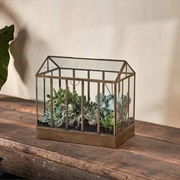 Create a Terrarium