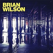 Brian Wilson - No Pier Pressure