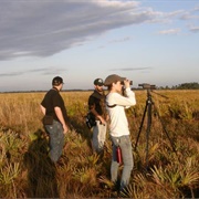 Kissimmee Prairie Preserve State Park