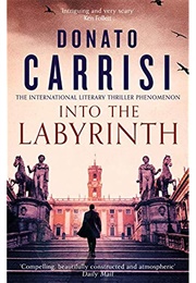 Into the Labyrinth (Donato Carrisi)