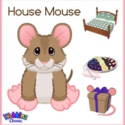 House Mouse