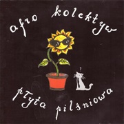 Płyta Pilśniowa (Afro Kolektyw, 2001)