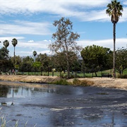 Visited the La Brea Tar Pits