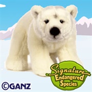 Signature Endangered Polar Bear