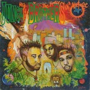 Done by the Forces of Nature - Jungle Brothers