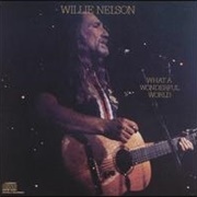 Willie Nelson - What a Wonderful World