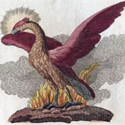 Simurgh