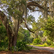 Fairchild Tropical Botanic Garden, Coral Gables