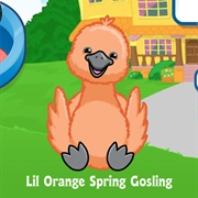 Lil Orange Spring Gosling