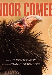 Condor Comeback (Sy Montgomery)