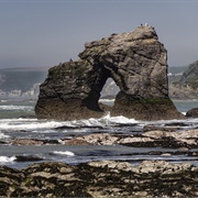 Thurlestone Rock, Devon, England