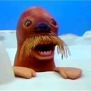 Disturbing Walrus